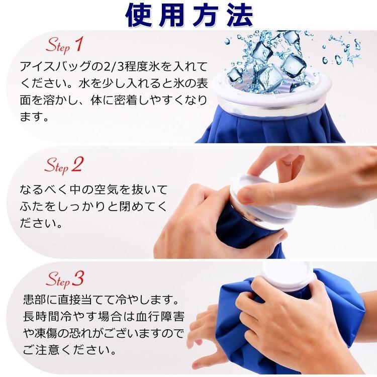 Sale Off アイシング 2個セット 氷嚢 アイスバック スポーツ氷嚢 氷のう ゴルフ暑さ対策 ひょうのうアイシング アイシングバッグ アイスバッグ Aynaelda Com