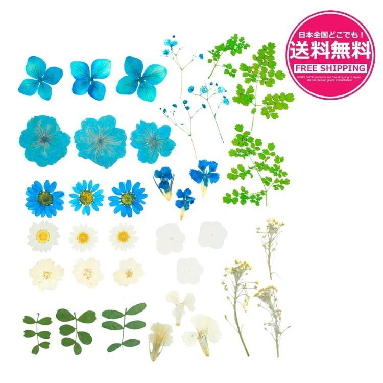 最安値級価格 天然花 押し花 ハンドメイド デコパーツ ドライフラワー レジン Diy ネイル 押し花アート 装飾 乾燥シート 手芸 パーツ ブリザードフラワー 乾燥花 花材 10枚