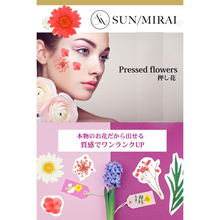 Sale 62 Off 押し花キット つみたて花パック 白色系ローダンセ バルビネラ ラクスパ Ph538 Riosmauricio Com