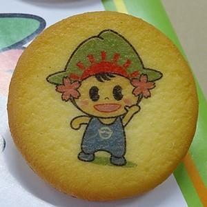 「ひのでちゃん」　クッキー　12個入り |  | 01