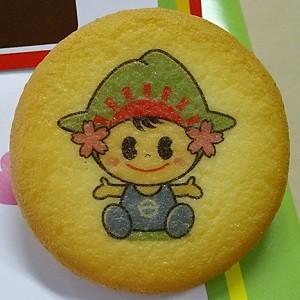 「ひのでちゃん」　クッキー　12個入り |  | 03