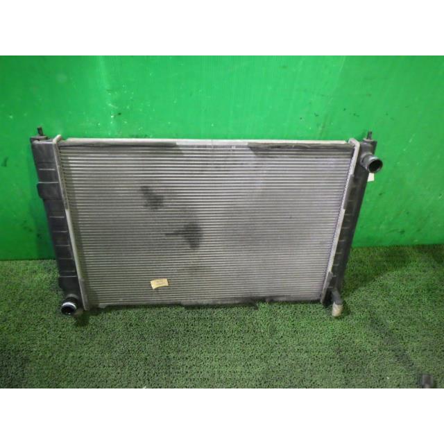 エルグランド DBA-TE52 ラジエータ QAB | エルグランド | 01