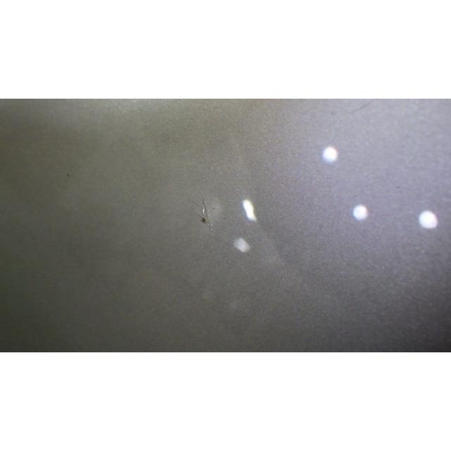 ムーヴ DBA-L175S 左フロントフェンダー T16   53812-B2310 中古 | ムーヴ | 03