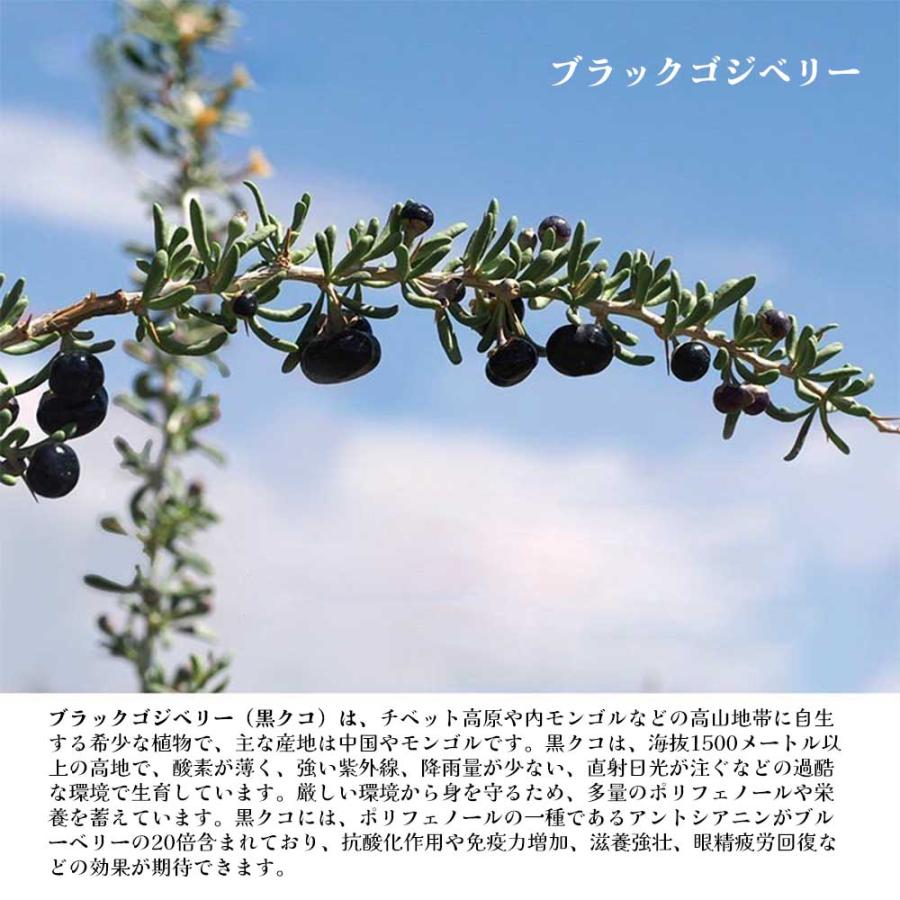 無添加 ブラックゴジベリー薬味酒 700ml 日本製 自然な甘みと深いコク アルコール18度 高級ギフト 無添加 高級感 清酒 お歳暮 お中元の画像