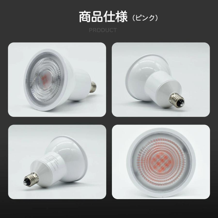 シャドウバースエボルヴ BRIGHT LIGHTS SP 1枚 シャドウバースエボルヴ BRIGHT LIGHTS SP 1枚 シャドウバース