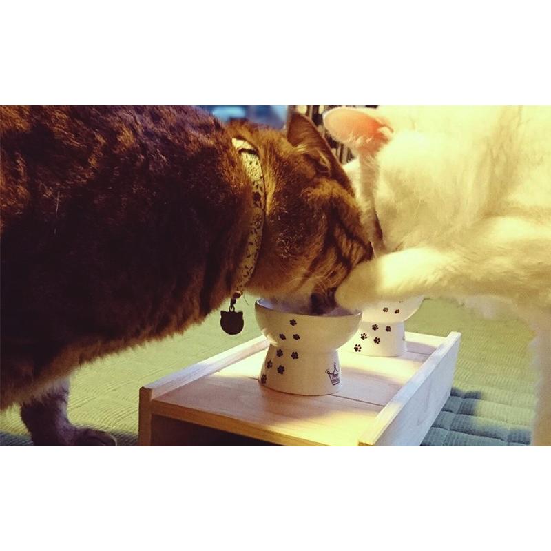猫用食器台ロング 国産ひのき 高さ7cm ネコ ねこ フードスタンド