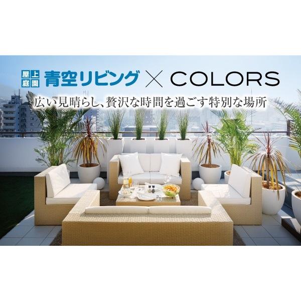 青空リビング×COLORS屋上専用家具 ローダイニングソファ１脚