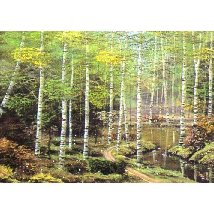 油絵／白樺林 早瀬遼作品 F4サイズ 肉筆油絵 油彩額装作品