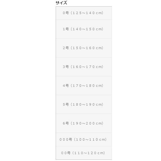 黒帯印 初心者向け 柔道衣 上下衣（白帯つき） 柔道着 : 日の丸