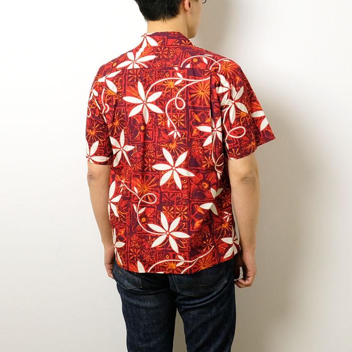 SUN SURF STAR of HOLLYWOOD（スターオブハリウッド） ブロード