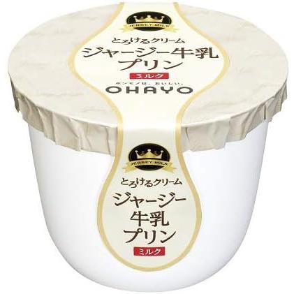 オハヨー乳業 ジャージー牛乳プリンミルク 115g×16個「クール便でお