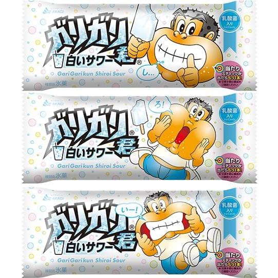 赤城乳業 ガリガリ君 白いサワー105ml×33袋+(おまけ1本付き) 2025年製