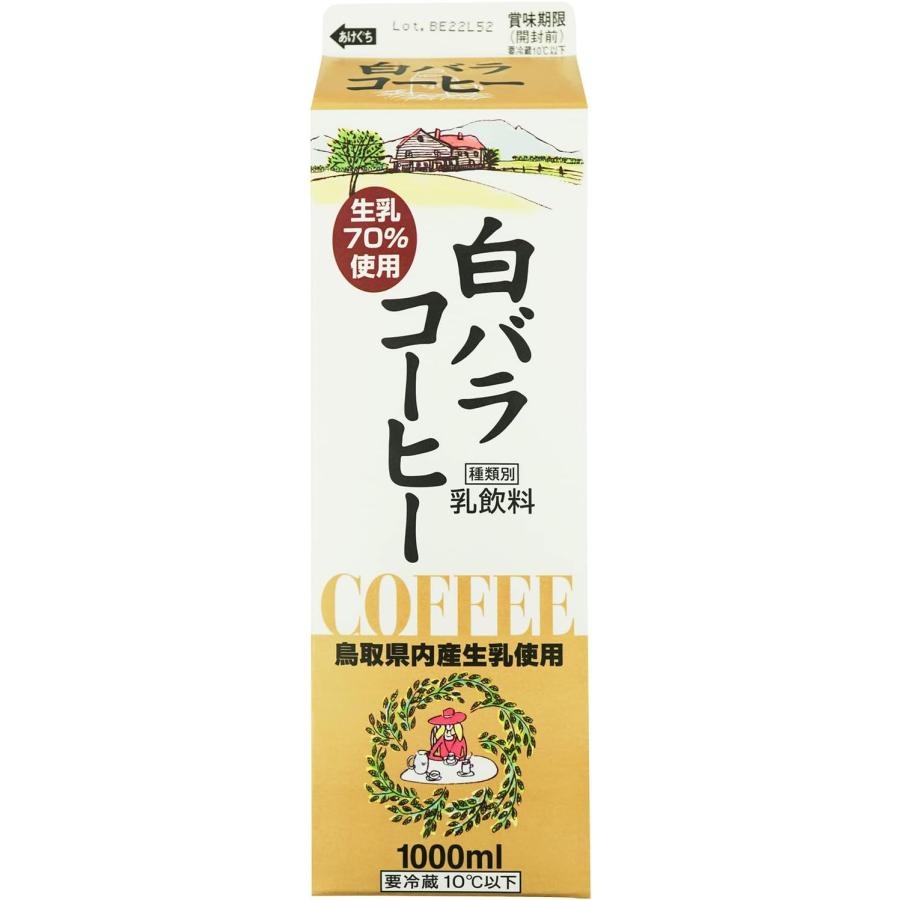 大山乳業 白バラコーヒー 1000ml : ひのや - 通販 - Yahoo!ショッピング