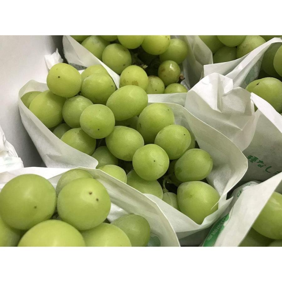 山梨県 シャインマスカット 秀品 5kg 7〜8房入り : ひのや - 通販
