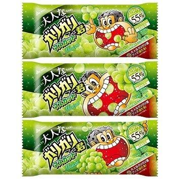 送料無料 赤城乳業 大人なガリガリ君マスカット32入 Ak 306 ひのや 通販 Yahoo ショッピング