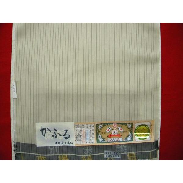 本場夏大島紬 夏のおしゃれ着物 生成り縞 夏の着物 : 京都ひのや呉服店