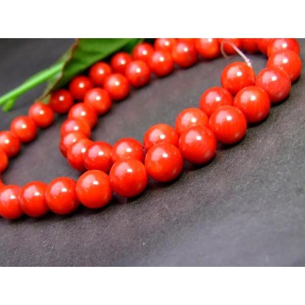 ≪g3-341F≫送料無料有 卸200円 10粒セット 4mmカット 赤珊瑚 サンゴ