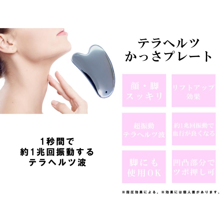 かっさ テラヘルツ k3-1C✖️10個 鉱石プレート 75*50mmマッサージ かっさ