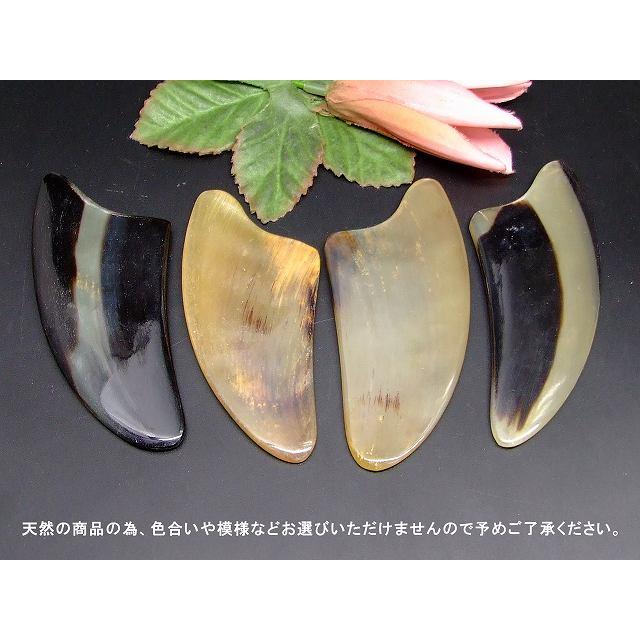 かたつむり hinryo_taipu3