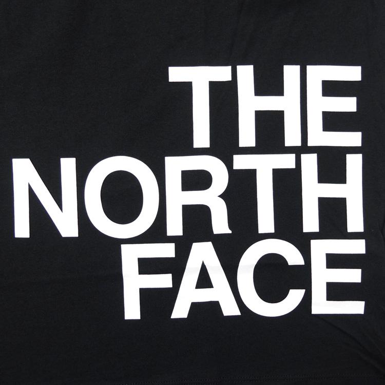 ノースフェイス Tシャツ THE NORTH FACE Tシャツ 半袖 メンズ トップス ブランドロゴ バックプリント USライン｜hiphopdope｜13