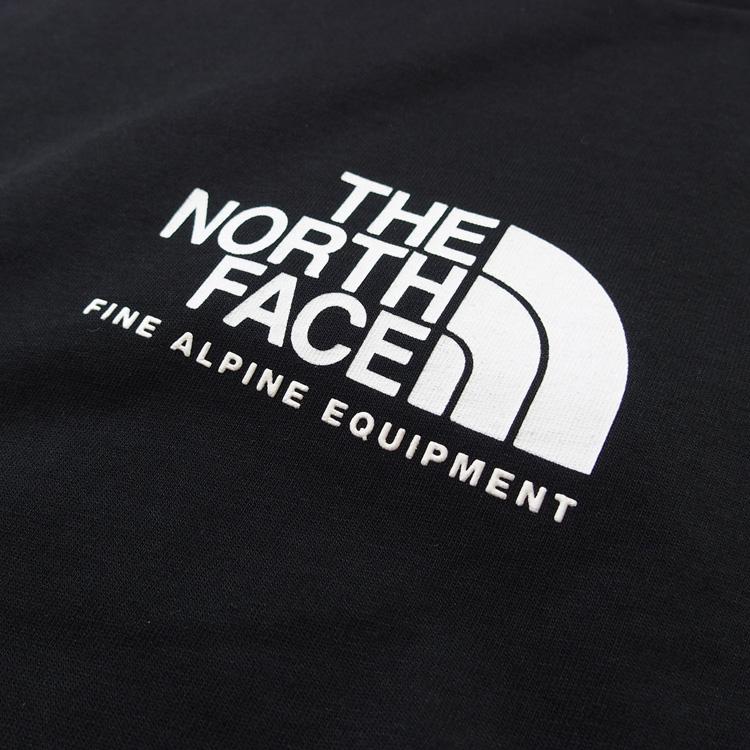 ノースフェイス Tシャツ THE NORTH FACE Tシャツ 半袖 メンズ トップス ハーフドーム ロゴ 定番 EUライン｜hiphopdope｜09