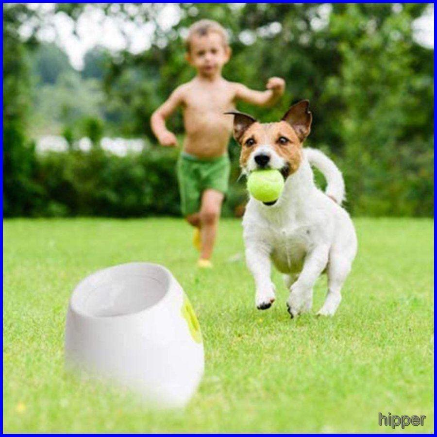 正規認証品 新規格 自動投げテニスボールランチャー 犬用のミニインタラクティブフェッチおもちゃ投げ機トレーニングと遊び 3種類の発射距離 3つのボールが含まれています Whitesforracialequity Org