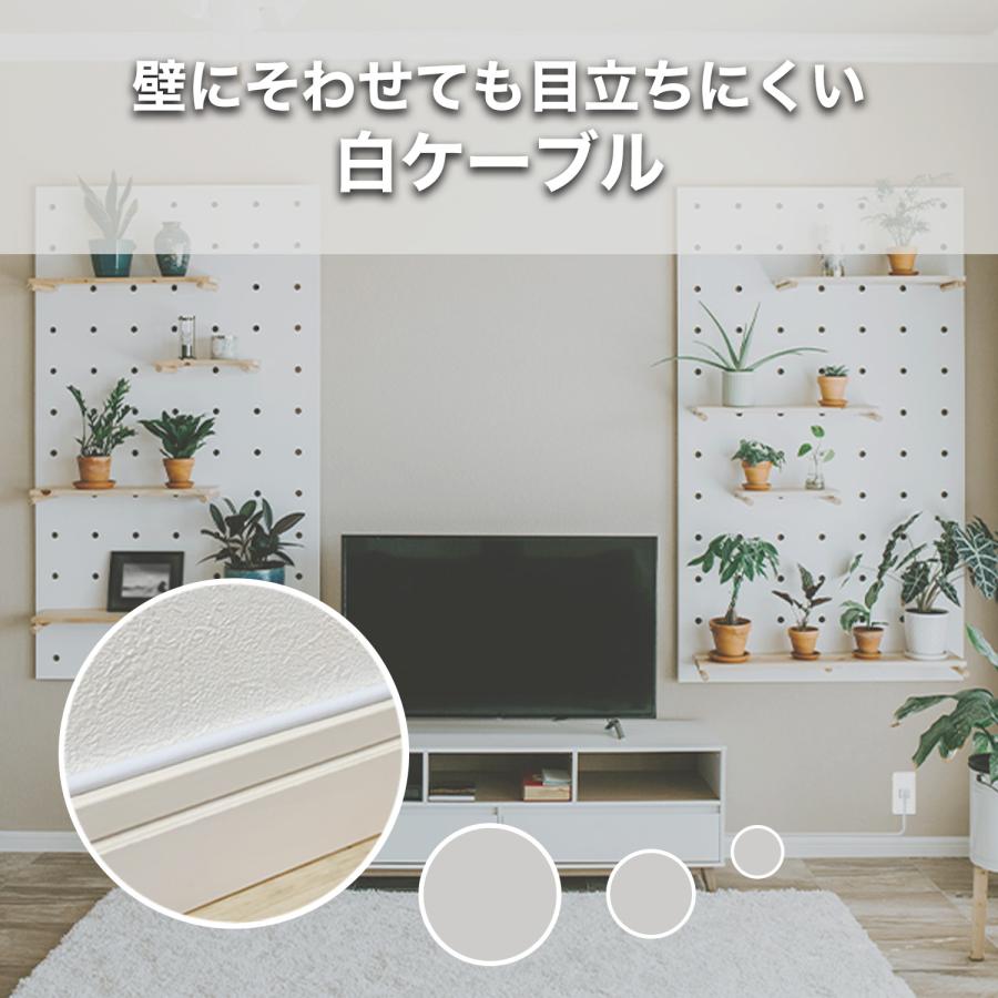 ホーリック（HORIC） アンテナ分配器 4C出力ケーブル2本付属 ケーブル