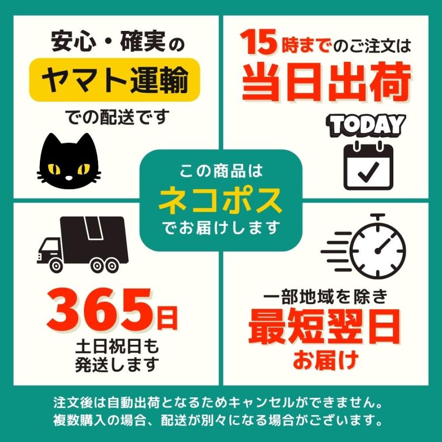 保冷バッグ お弁当 おしゃれ ランチ 大容量 買い物 アウトドア アルミ キャンプ 軽量 ソフト ファスナー 大きめ 子供 手提げ 小型｜hirai-seikatsuzakka｜17