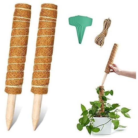 園芸支柱 観葉支柱 植物支柱 つる性植物 観葉植物 ココナッツ支柱 植物ラベル 植物ネクタイ 植物サポート Brown 40cm Mugen Vsp24i0jg Hirameki Space 通販 Yahoo ショッピング