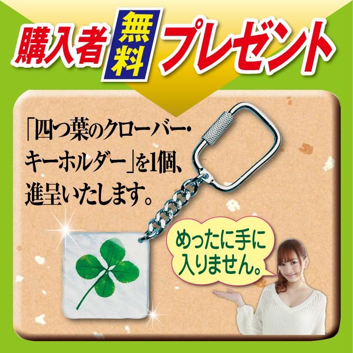 三日月型 クレセント ペンダント 神秘 ルーン 文字 シルバー999 開運