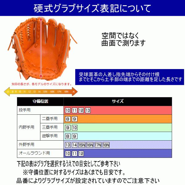 Mizuno Pro MIZUNO ミズノ ミズノプロ 硬式用 1AJCH30210 0980