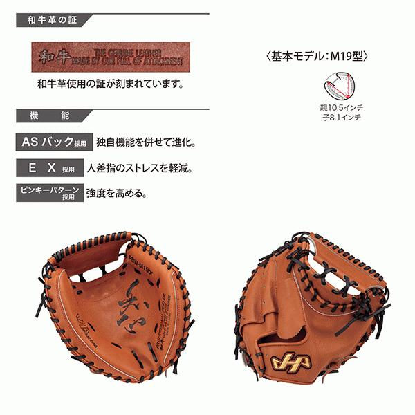 ハタケヤマ HATAKEYAMA 硬式グラブ 捕手用 右投げ用 エコロジー