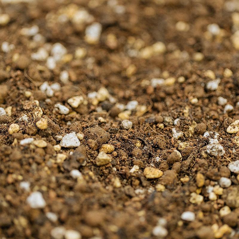 GOOD SOIL グッドソイル バラの土 10L 平田ナーセリーオリジナル培養土 バラ用 |  | 02