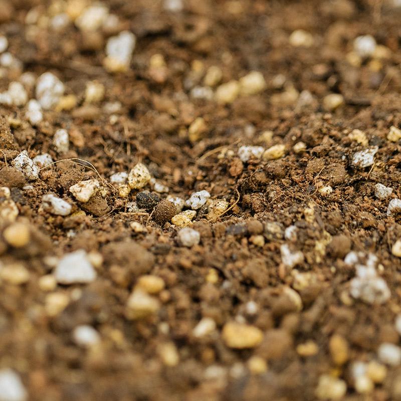 GOOD SOIL グッドソイル 観葉植物の土 5L 平田ナーセリーオリジナル培養土 |  | 02