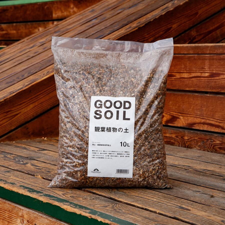 GOOD SOIL グッドソイル 観葉植物の土 10L 平田ナーセリーオリジナル培養土 | 