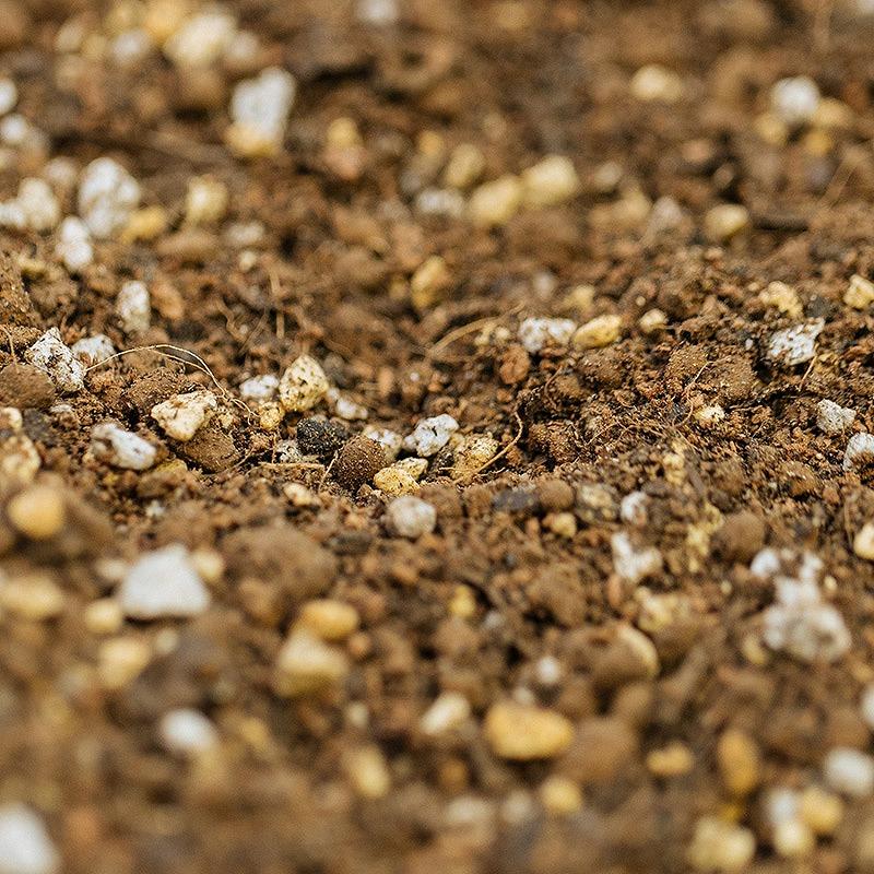 GOOD SOIL グッドソイル 観葉植物の土 10L 平田ナーセリーオリジナル培養土 |  | 02