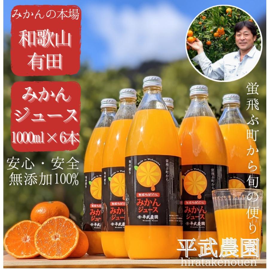 無添加100％みかんジュース 1000ml×6本 和歌山｜有田｜田口 : 平武
