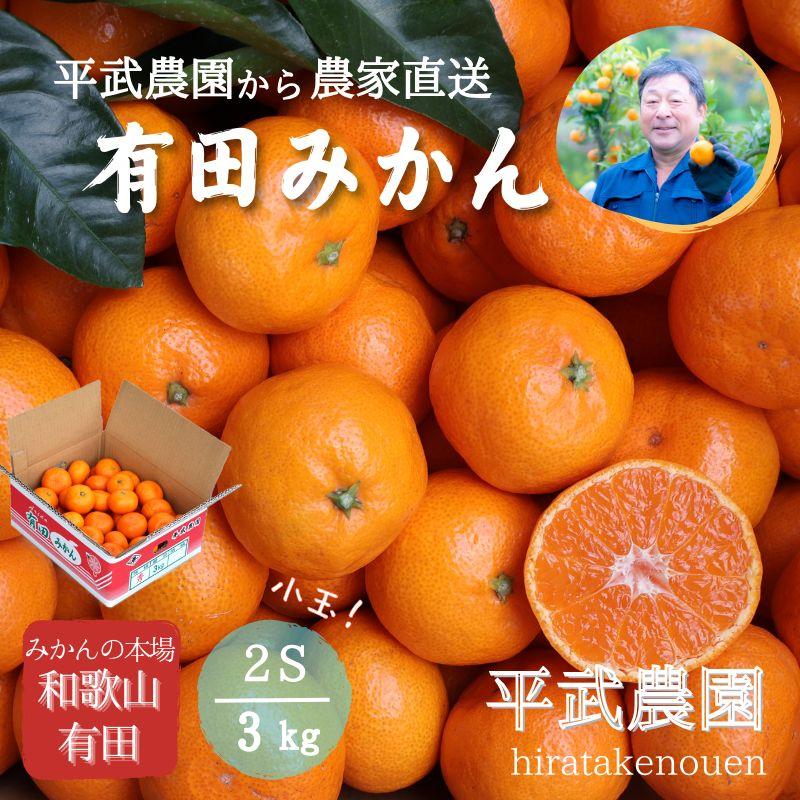 2026年1月発送】農家直送！有田みかん 3kg≪2Sサイズ(小玉)秀品≫【平