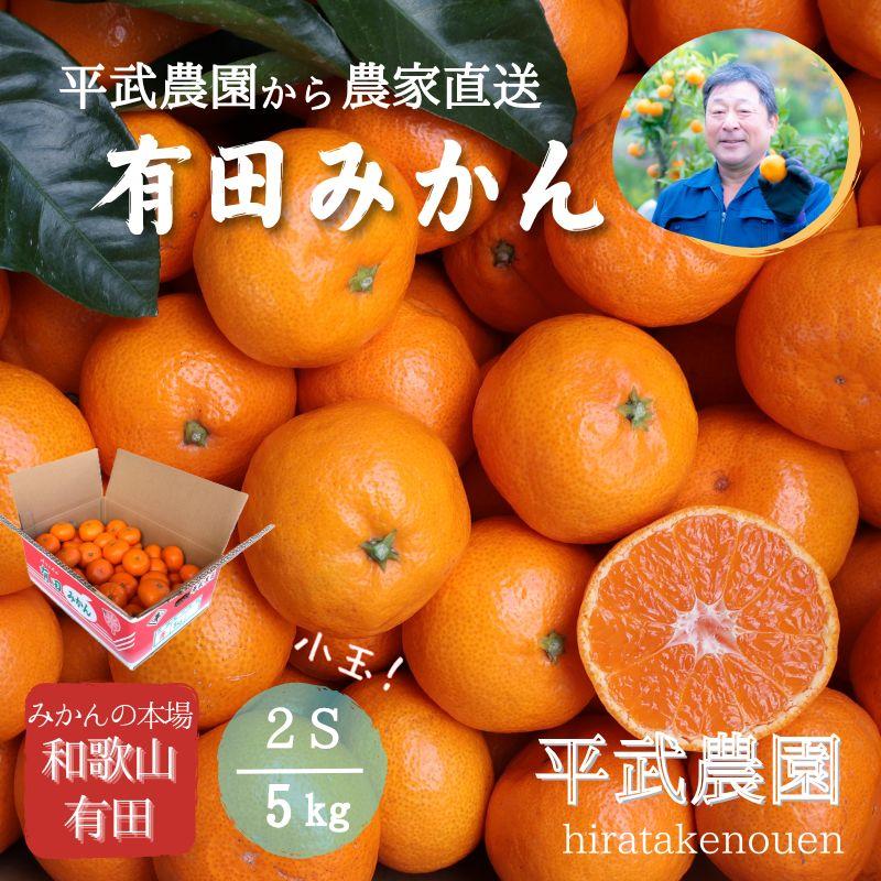 2026年1月発送】農家直送！有田みかん 5kg≪2Sサイズ(小玉)秀品≫【平