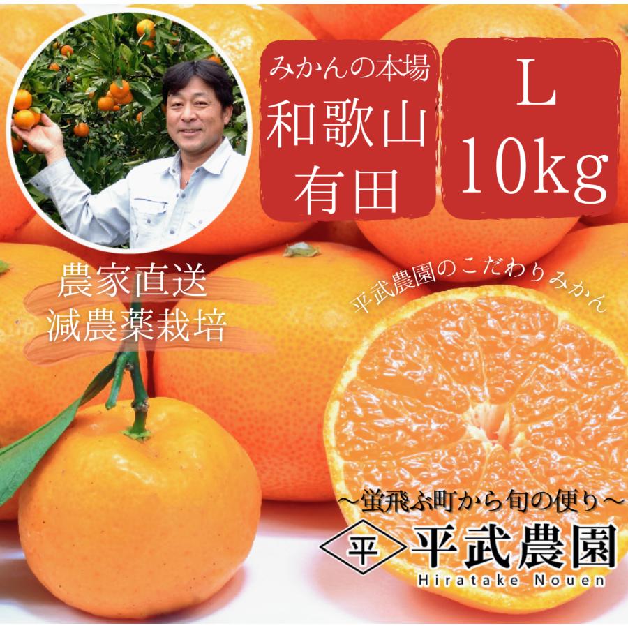 農家直送!】有田みかん Lサイズ 10kg 和歌山|有田|田口|お 農家直送!】有田みかん Lサイズ 10kg 和歌山|有田|田口|お