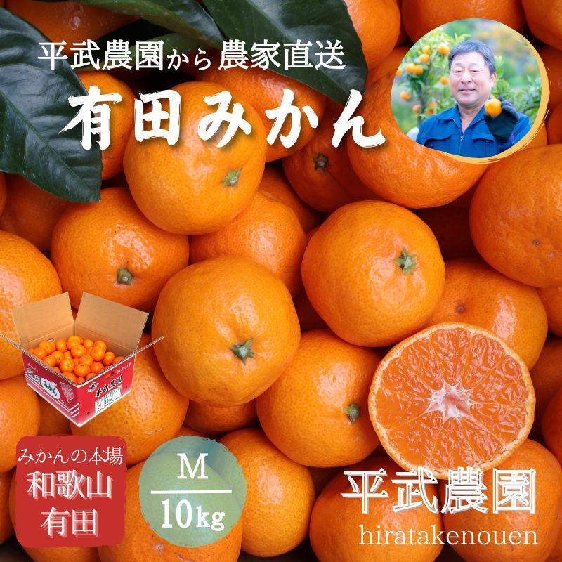 農家直送 有田ブランド 田口みかん Mサイズ 10kg Mikan M 10kg 平武農園 通販 Yahoo ショッピング