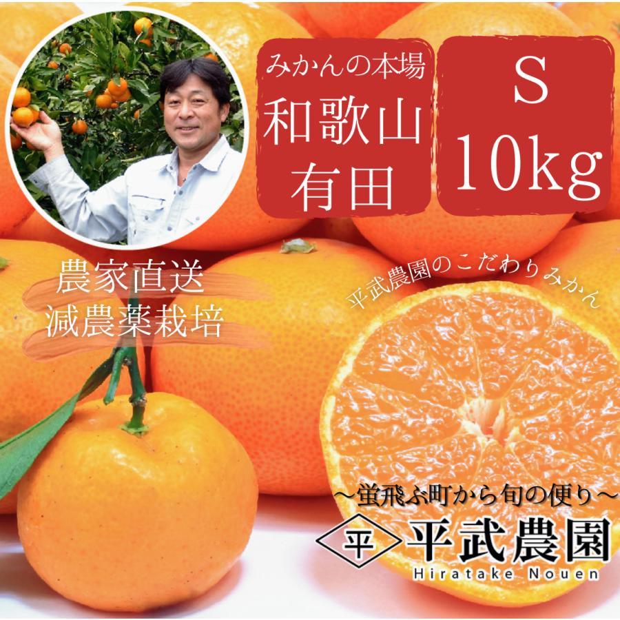 農家直送!】有田みかん Sサイズ 10kg 和歌山|有田|田口|お 農家直送!】有田みかん Sサイズ 10kg 和歌山|有田|田口|お