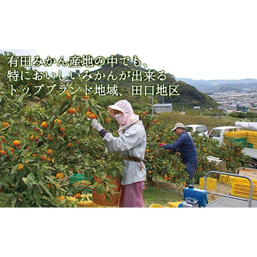 なつみオレンジ　訳あり 10kg｜hiratake-nouen｜07