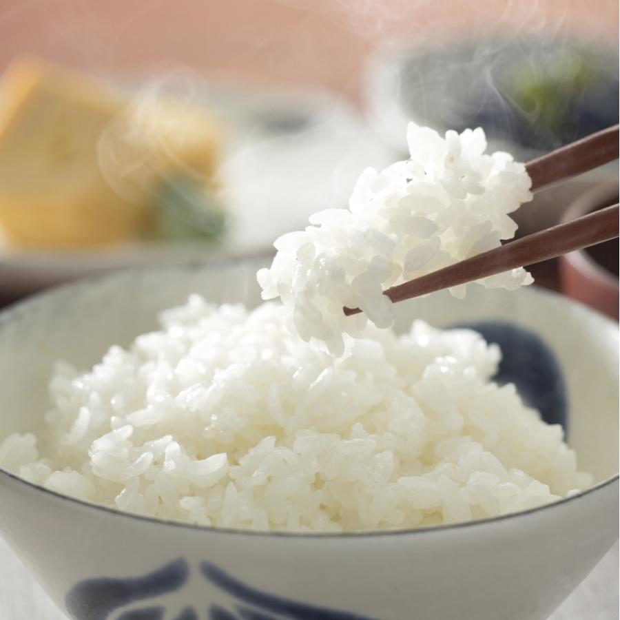 定期コース 自社農園産白米 元年 二年産 5kg 12ヶ月 送料込 鹿児島県産 K 0010 農園ガーデン空旧名平塚屋 通販 Yahoo ショッピング