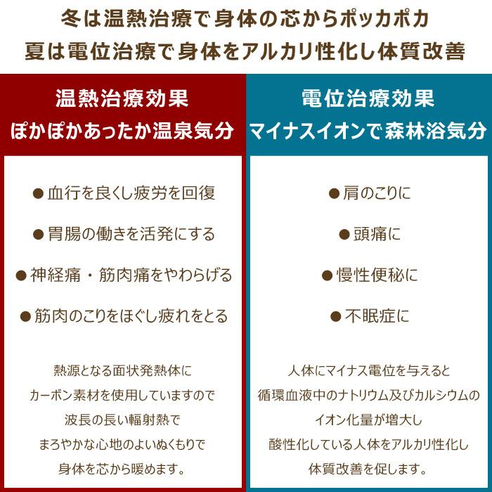 電位温熱健康敷き布団 シングル 100×200cm S 日本製 メルヘン