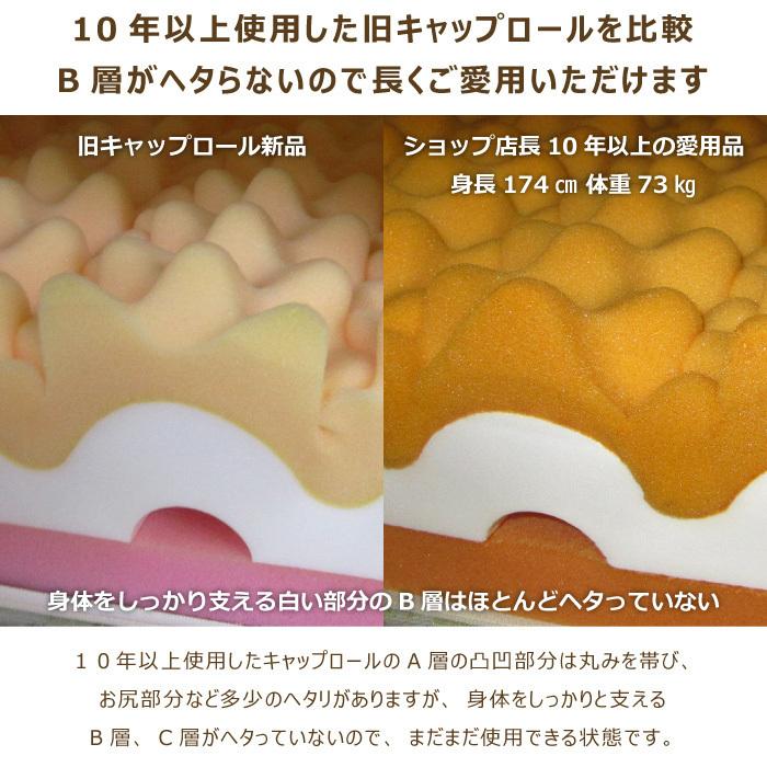 キャップロール縁 健康敷き布団 ダブル 140×195cm 厚さ12cm D 日本製 