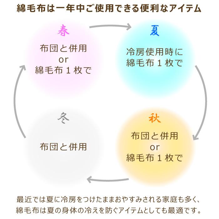 ニューマイヤー 綿毛布 シングル 140×200cm S 日本製 綿100% 綿