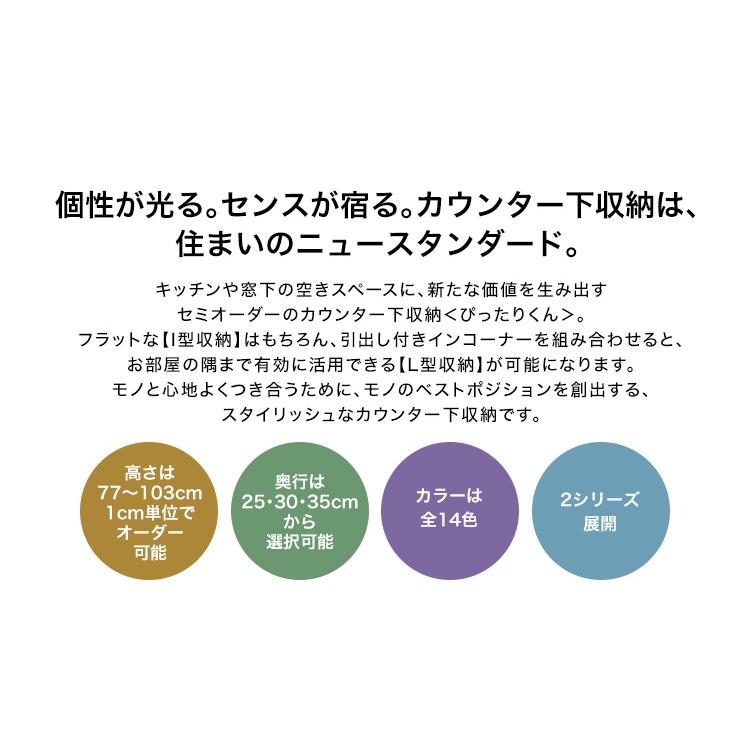 セミオーダーカウンター下収納ぴったりくん　キャビネット(ポリカタイプ　ミスト)　幅160cm×奥行25cm