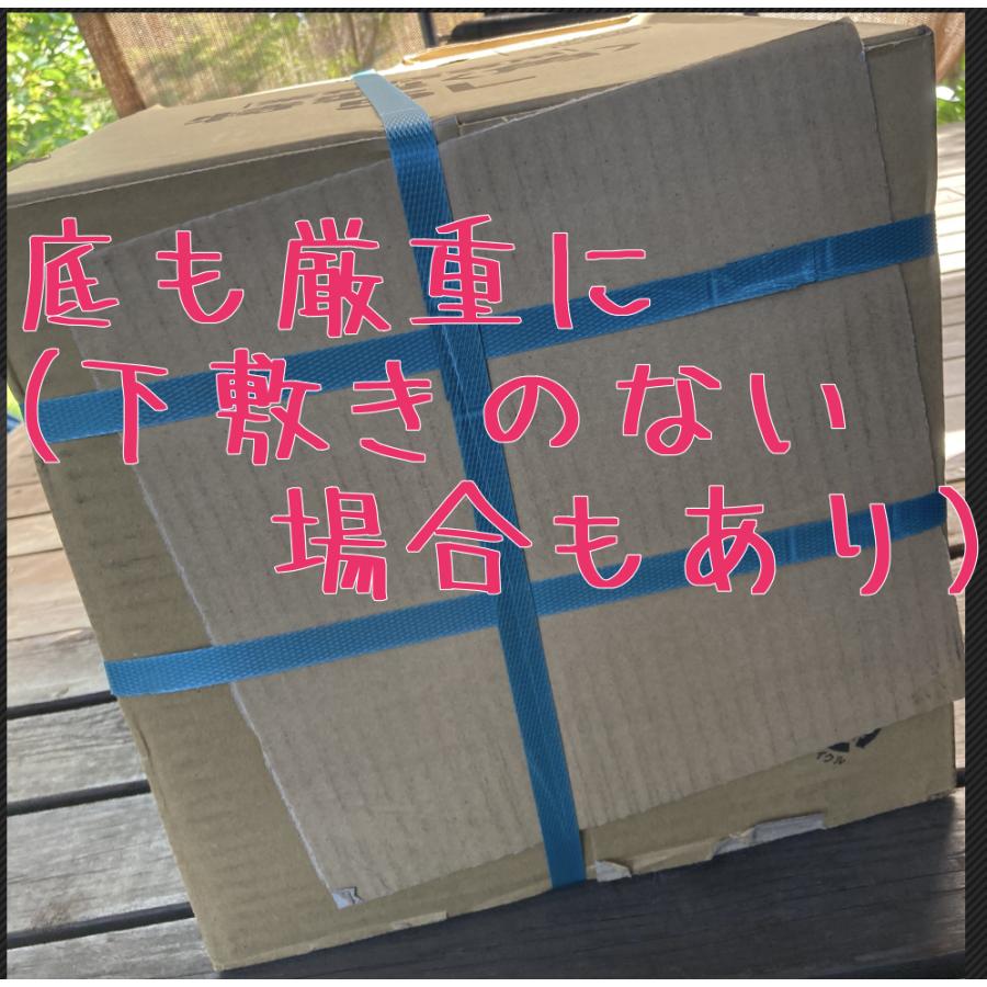 サントリーウイスキー 角瓶 ケース 5000mlペットボトル 特製角 サントリーウイスキー 角瓶 ケース 5000mlペットボトル 特製角