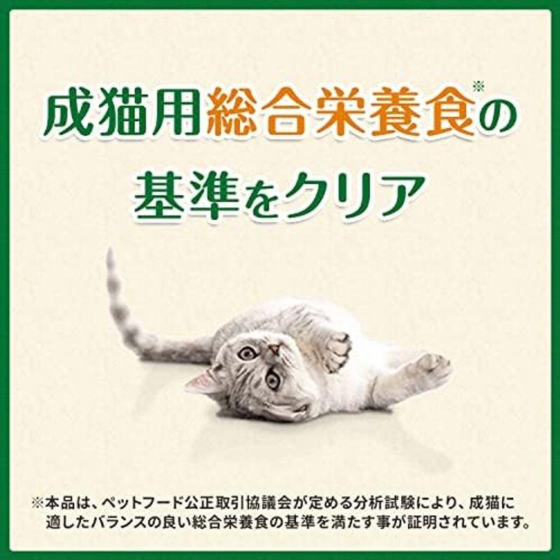 Greenies グリニーズ 猫用 香味サーモン味 130g 猫用歯みがきスナック｜hiro-life-shop｜04